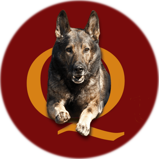 Quality Canine